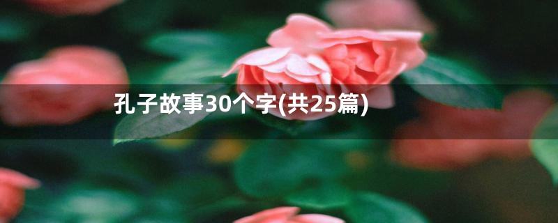 孔子故事30个字(共25篇)