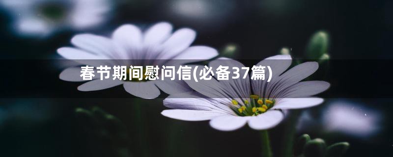 春节期间慰问信(必备37篇)