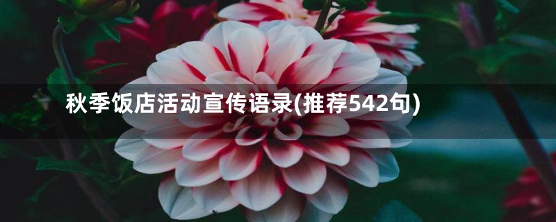 秋季饭店活动宣传语录(推荐542句)