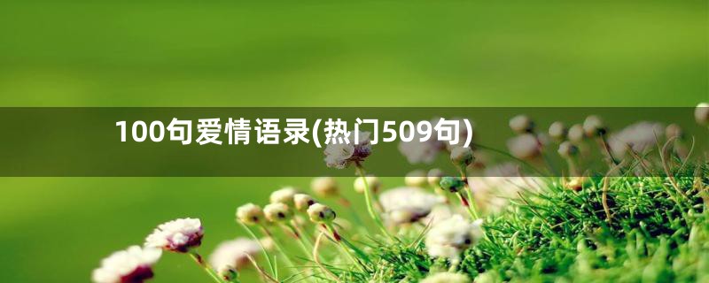 100句爱情语录(热门509句)